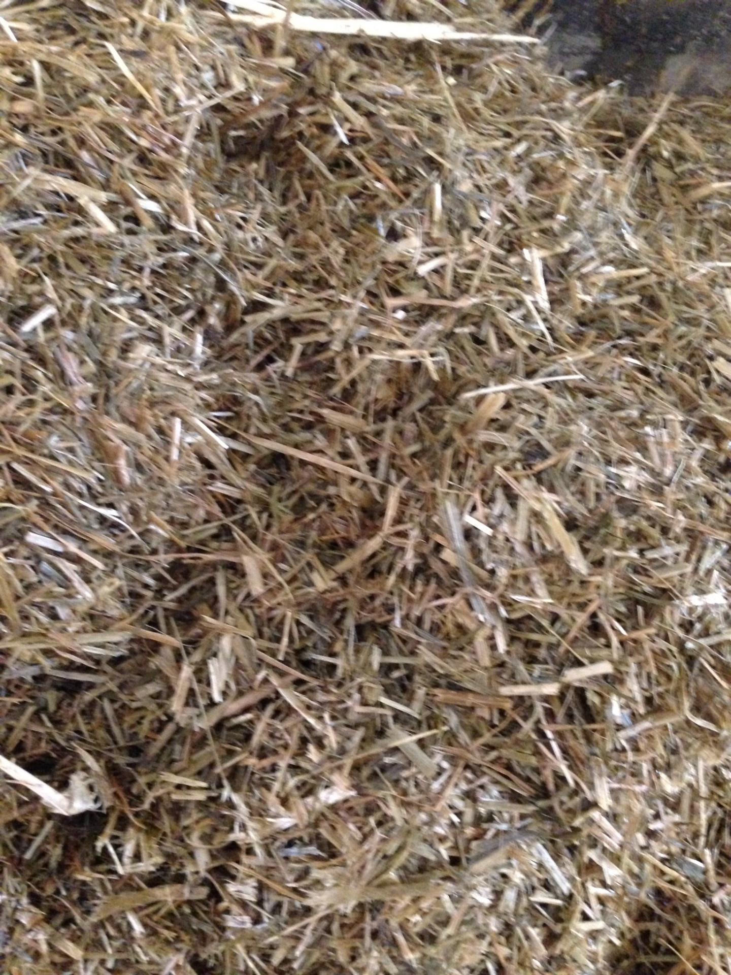 Ensilage d'herbe