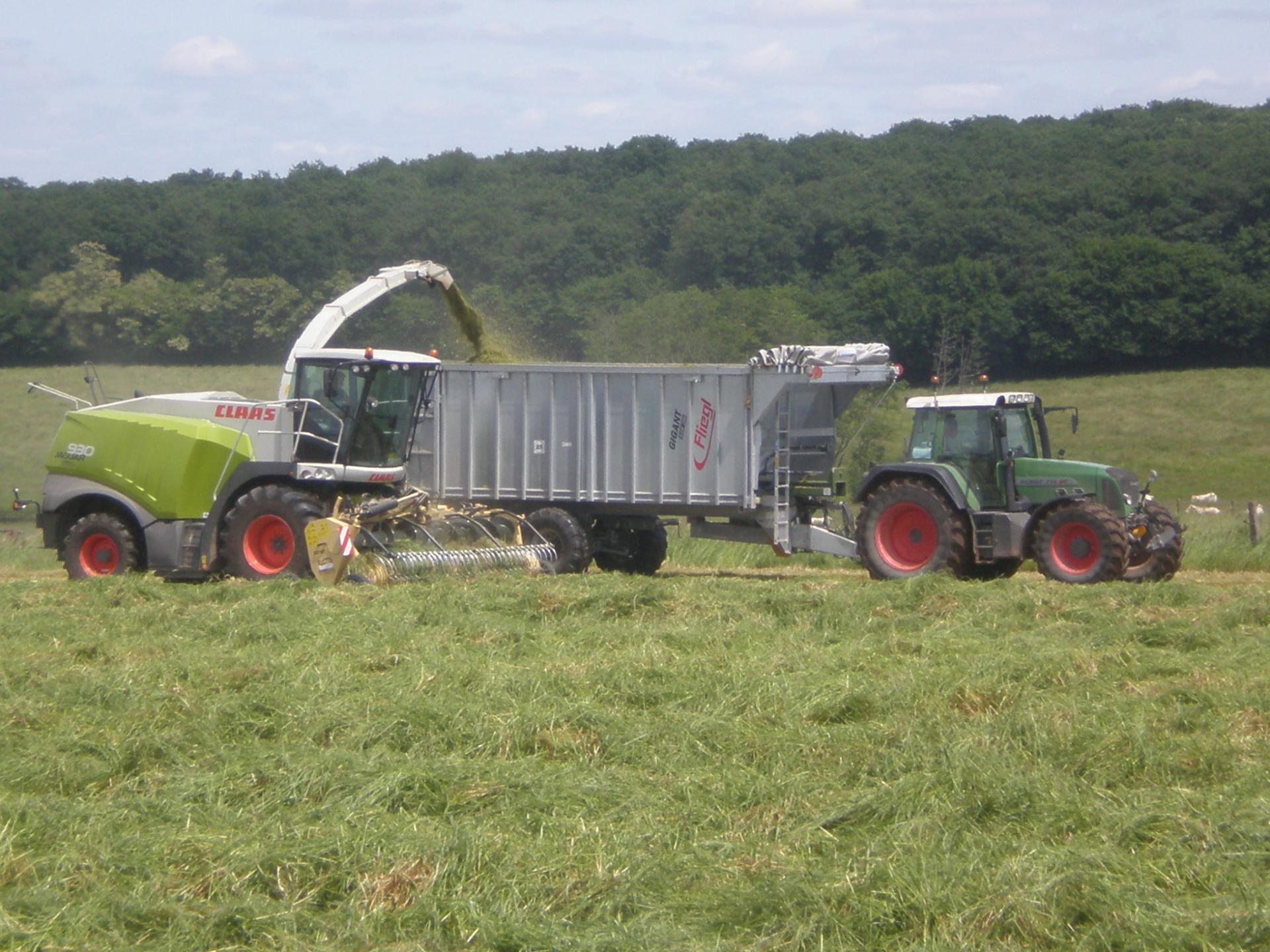 ensilage d'herbe